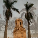 Two Palm Trees - click on image to download high resolution photos (easy login required)