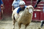 "Mutton Bustin'" - Casey Martin